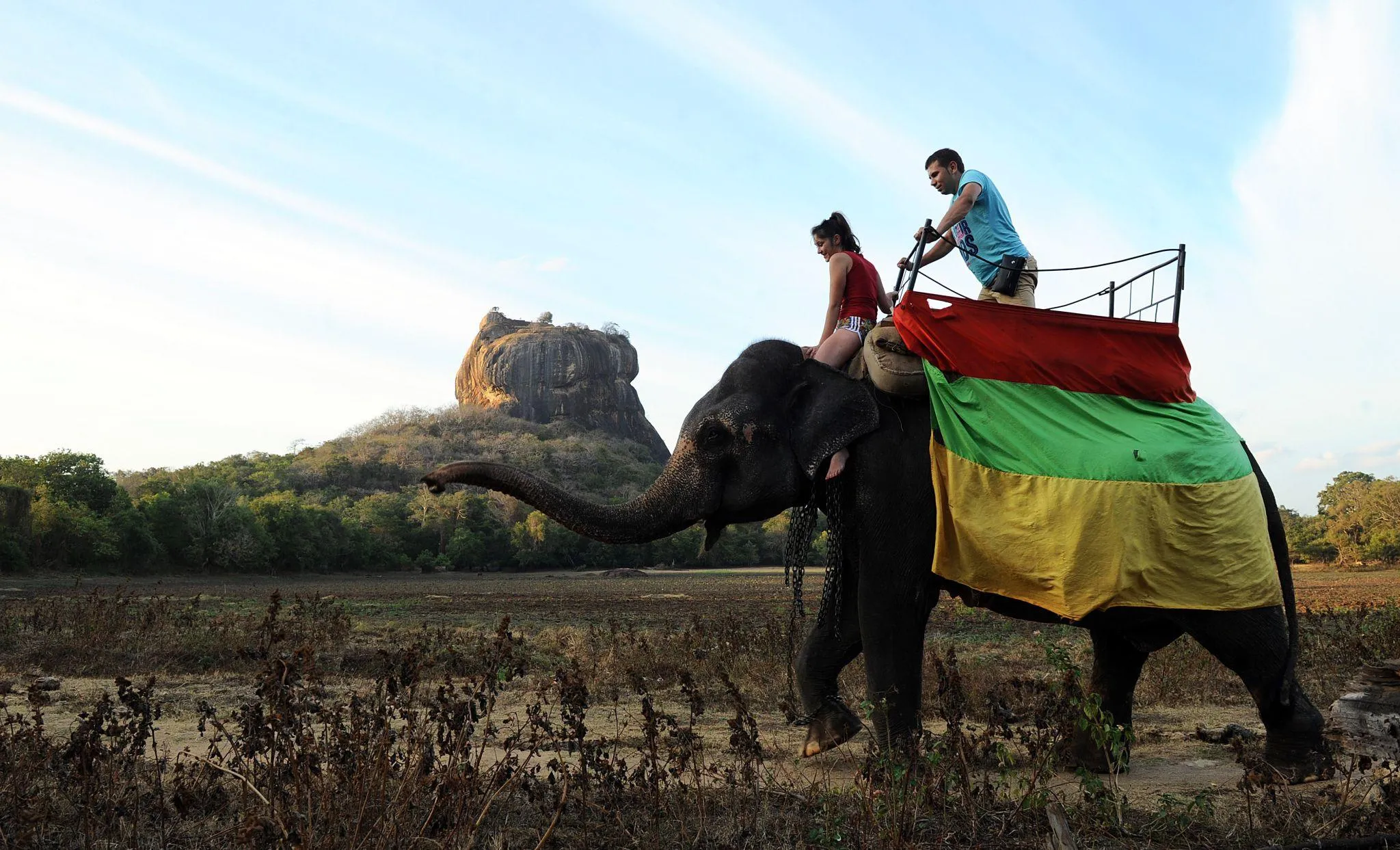Top Luxury Vehicles for Sri Lanka Road Trips: Ride in Premium Style