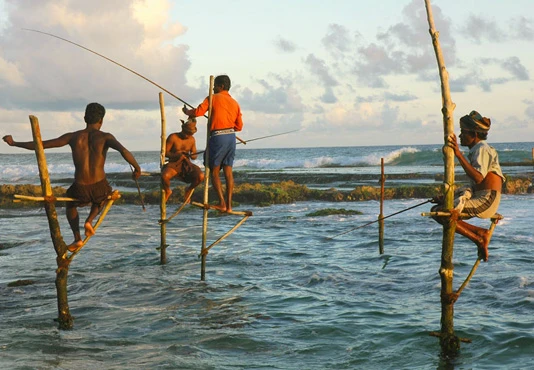 Weligama Bay with stilt fishermen